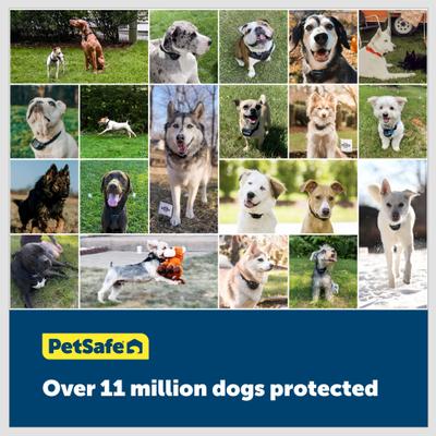 Show full view: PetSafe Stay & Play Wireless Fence with Replaceable Battery Collar slide 6 of 9