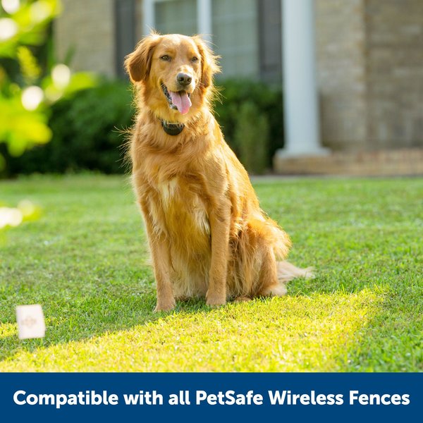 PetSafe Stay & Play Wireless Fence with Replaceable Battery Collar