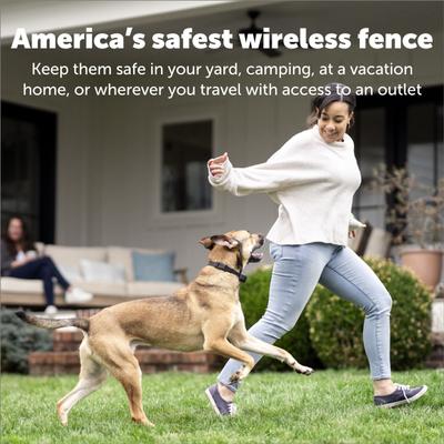 Show full view: PetSafe Stay+Play Wireless Fence Receiver Collar slide 5 of 9