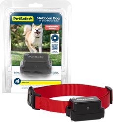PetSafe Stubborn Dog In-Ground Receiver Collar