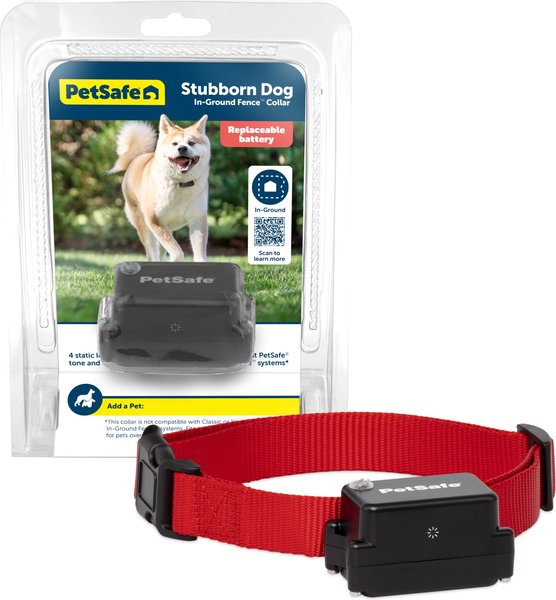 Cat Collar Wireless Dog Fence Chewy INVISIBLE FENCE Wireless GPS