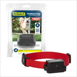 PetSafe Stubborn Dog In-Ground Receiver Collar