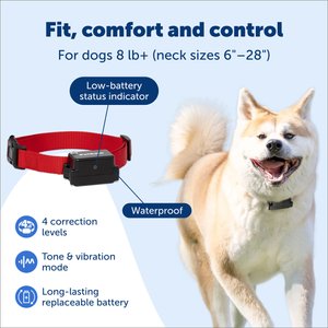 PetSafe Stubborn Dog In-Ground Receiver Collar