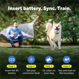 PetSafe Stubborn Dog In-Ground Receiver Collar