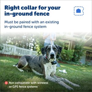 PetSafe Stubborn Dog In-Ground Receiver Collar