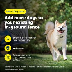 PetSafe Stubborn Dog In-Ground Receiver Collar slide 2 of 7