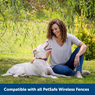 Show full view: PetSafe Stubborn Dog Stay+Play Wireless Fence Receiver Collar + Wireless Fence Receiver Collar slide 4 of 9