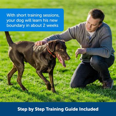 Show full view: PetSafe Stubborn Dog Stay+Play Wireless Fence Receiver Collar + Wireless Fence Receiver Collar slide 5 of 9