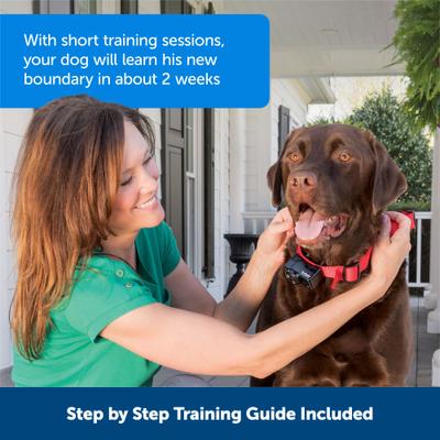 Show full view: PetSafe Stubborn Dog Stay+Play Wireless Fence Receiver Collar + Wireless Fence Receiver Collar slide 8 of 9