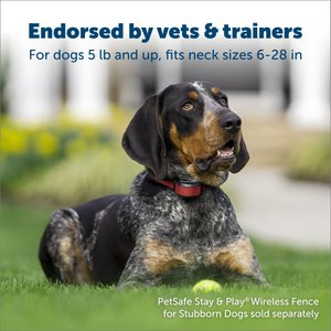 PetSafe Stubborn Dog Stay+Play Wireless Fence Receiver Collar