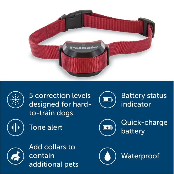 PetSafe Stay+Play Wireless Fence Receiver Collar