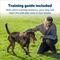 Show in main carousel: PetSafe Stubborn Dog Stay+Play Wireless Fence Receiver Collar slide 4 of 9