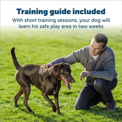 Show full view: PetSafe Stubborn Dog Stay+Play Wireless Fence Receiver Collar slide 4 of 9