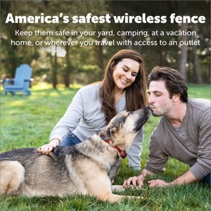 PetSafe Stubborn Dog Stay+Play Wireless Fence Receiver Collar