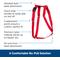 Show in main carousel: PetSafe Sure-Fit Adjustable Back Clip Dog Harness, Red, Large: 28 to 42-in chest slide 2 of 9