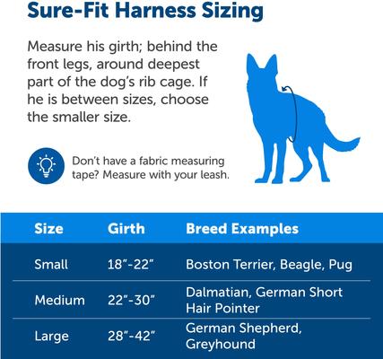 Show full view: PetSafe Sure-Fit Adjustable Back Clip Dog Harness, Red, Large: 28 to 42-in chest slide 6 of 9