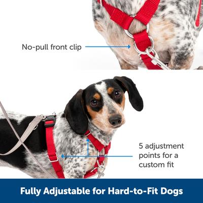 Show full view: PetSafe Sure-Fit Adjustable Back Clip Dog Harness, Red, Large: 28 to 42-in chest slide 3 of 9