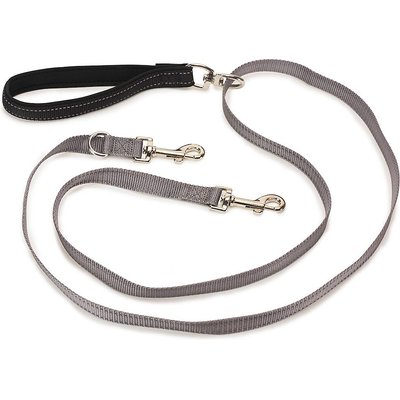 PetSafe PetSafe Two Point Control Nylon Reflective Dog Leash, Black/Gray, Medium/Large: 6-ft long, 3/4-in wide