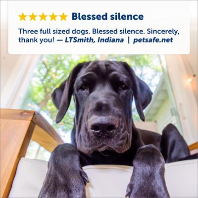 Show full view: PetSafe Ultrasonic Indoor Bark Control slide 5 of 9