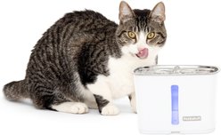 PetSafe Viva Stainless Steel Cat & Dog Fountain, Steel, 64-oz