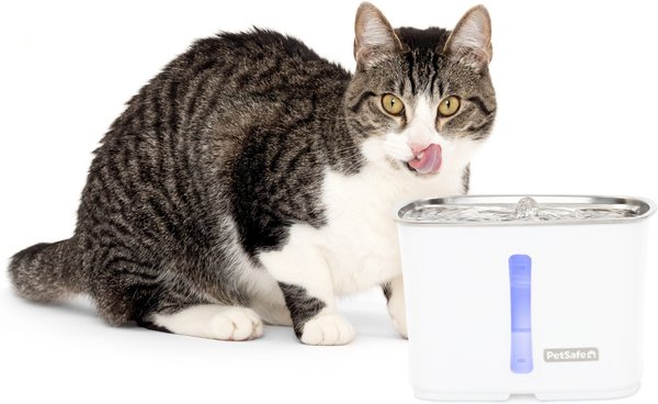 Show full view: PetSafe Viva Stainless Steel Cat & Dog Fountain, Steel, 64-oz slide 1 of 8