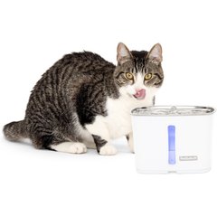 PetSafe Viva Stainless Steel Cat & Dog Fountain, Steel, 64-oz