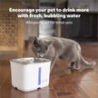 Show in main carousel: PetSafe Viva Stainless Steel Cat & Dog Fountain, Steel, 64-oz slide 2 of 8