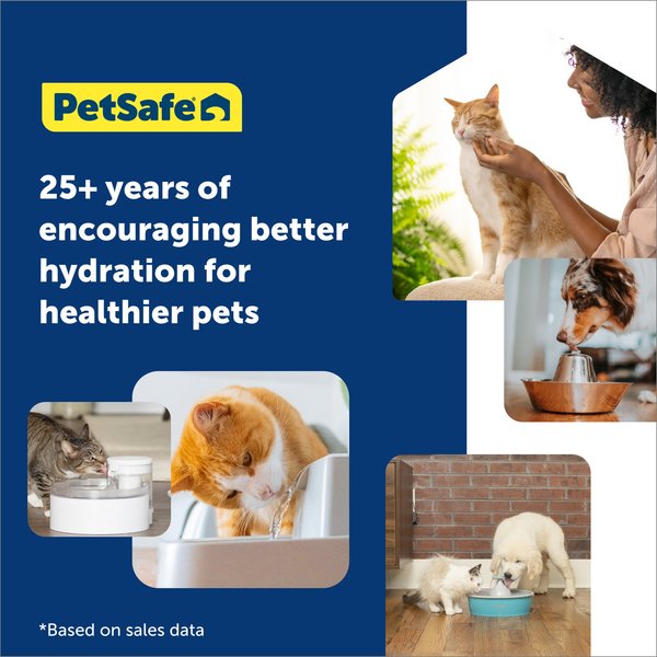 Show full view: PetSafe Viva Stainless Steel Cat & Dog Fountain, Steel, 64-oz slide 6 of 8
