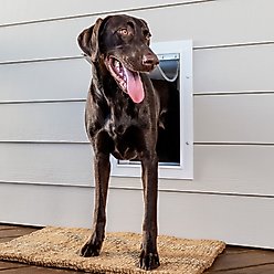 PetSafe Wall Entry Dual Flap Pet Door with Closing Panel, White, Large