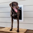 PetSafe Wall Entry Dual Flap Pet Door with Closing Panel, White, Large