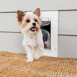 PetSafe Wall Entry Dual Flap Pet Door with Closing Panel, White, Small