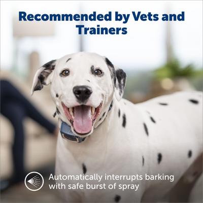 Show full view: PetSafe Water Resistant Rechargeable Spray Dog Bark Collar with Disposable Spray Cartridges slide 3 of 12
