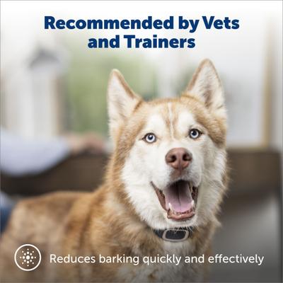Show full view: PetSafe Waterproof Basic Static Dog Bark Collar slide 2 of 7