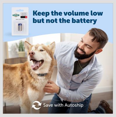 Show full view: PetSafe Waterproof Basic Static Dog Bark Collar slide 5 of 7