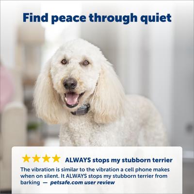 Show full view: PetSafe Waterproof Vibration Dog Bark Collar slide 4 of 9