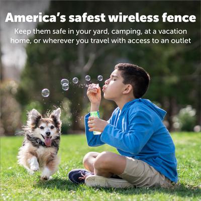 Show full view: PetSafe Wireless Fence Receiver Collar slide 5 of 10