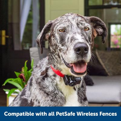Show full view: PetSafe Wireless Fence Receiver Collar slide 7 of 10