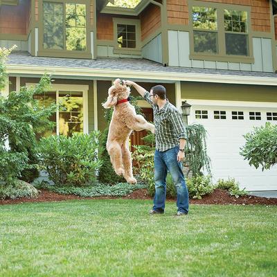 Show full view: PetSafe Wireless Pet Containment System slide 8 of 11