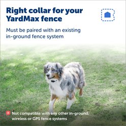PetSafe YardMax Extra Receiver Collar for In-Ground Fence System Waterproof & Rechargeable for Endless Boundary Safety slide 2 of 7