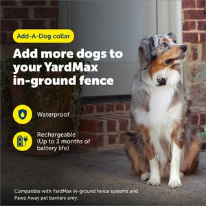 PetSafe YardMax Extra Receiver Collar for In-Ground Fence System Waterproof & Rechargeable for Endless Boundary Safety