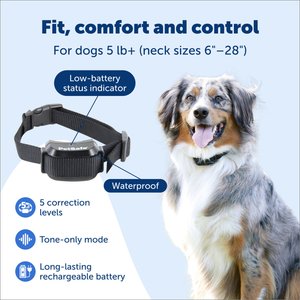 PetSafe YardMax Extra Receiver Collar for In-Ground Fence System Waterproof & Rechargeable for Endless Boundary Safety