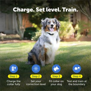 PetSafe YardMax Extra Receiver Collar for In-Ground Fence System Waterproof & Rechargeable for Endless Boundary Safety