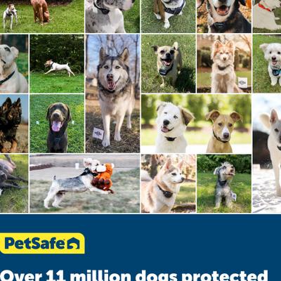 Show full view: PetSafe YardMax Extra Receiver Collar for In-Ground Fence System Waterproof & Rechargeable for Endless Boundary Safety slide 6 of 7