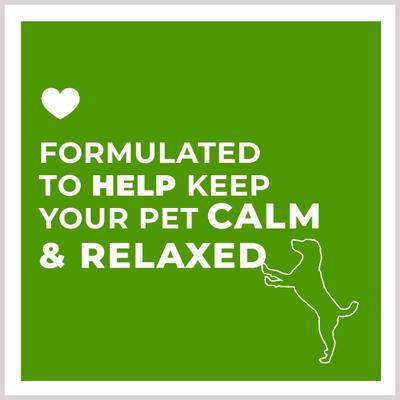 Show full view: PetScy Calming Aid Soft & Chewy Supplement for Dogs, 4.2-oz jar, 60 count slide 7 of 8