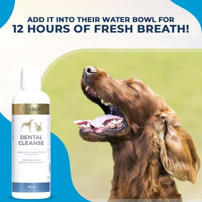 Show full view: PetScy Dental Cleanse Dog & Cat Tartar Remover, 8-oz bottle slide 5 of 8