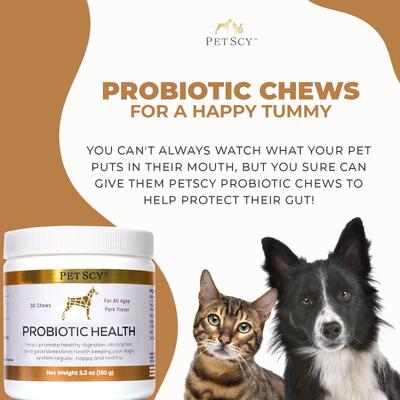 Show full view: PetScy Probiotic Soft & Chewy Supplement for Dogs, 5.3-oz jar, 30 count slide 5 of 10