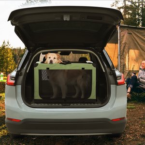 Petsfit 3 Mesh Door Collapsible Soft-Sided Dog Kennel, Green, 36 inch