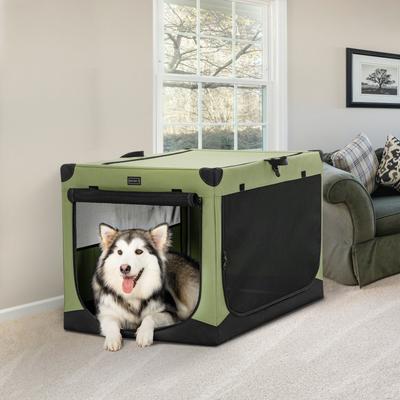 Show full view: Petsfit 3 Mesh Door Collapsible Soft-Sided Dog Kennel, Green, 40 inch slide 7 of 9