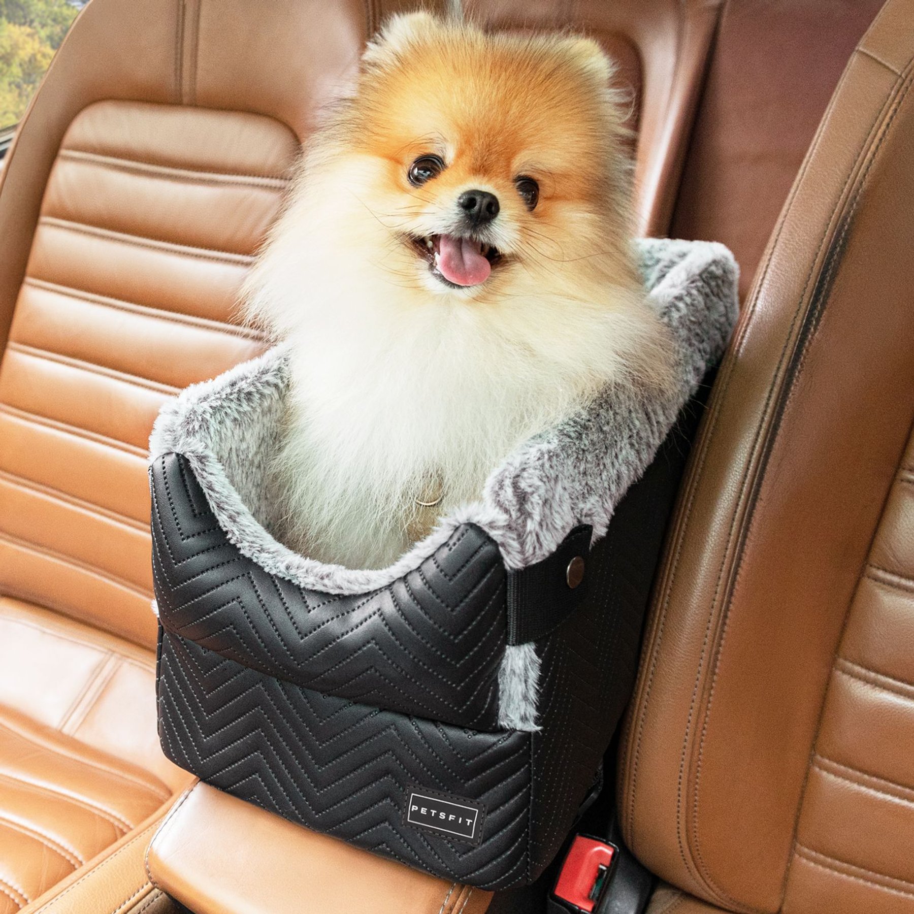 Petsfit Center Small Dog Console Car Seat with Washable Cushion, Medium, Black