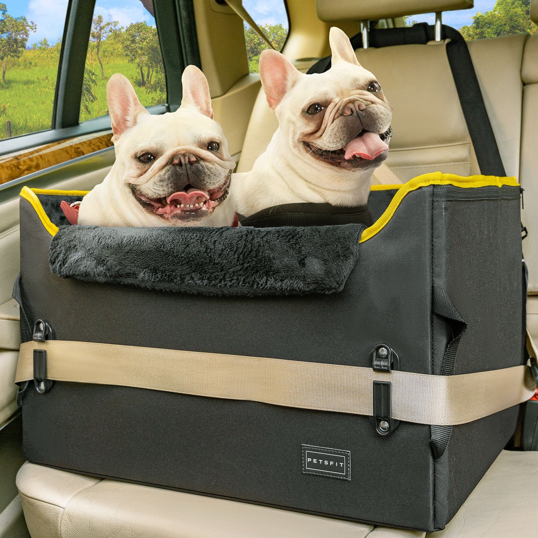 Petsfit Dog Car Booster Seat with 2 Clip-On Safety Leashes, Medium+, Black